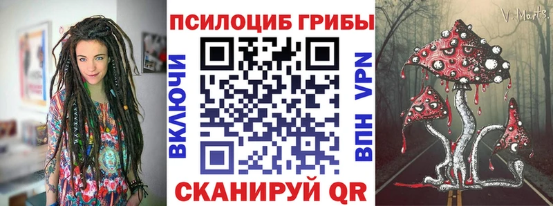 Галлюциногенные грибы мицелий  что такое наркотик  Сухиничи 